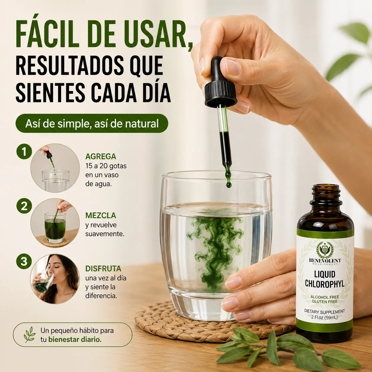 CLOROFILA BENEVOLENT® - Revitaliza y restaura tu cuerpo