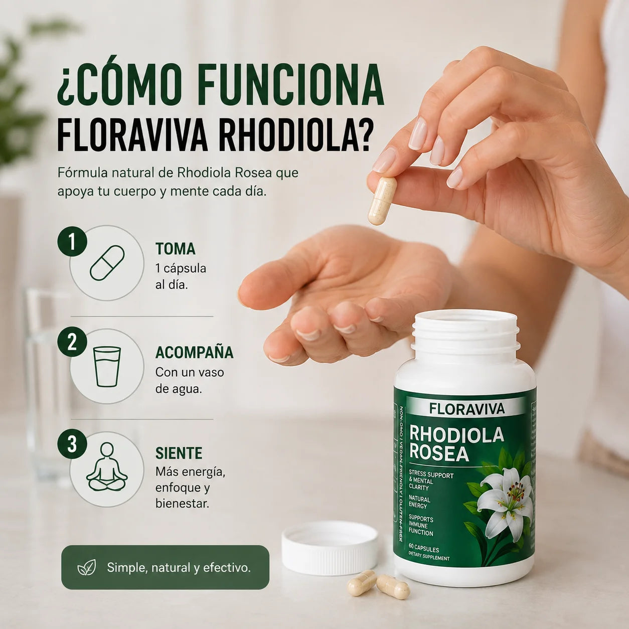 FloraViva Rhodiola 60 Cápsulas – Energía, Enfoque y Bienestar Diario