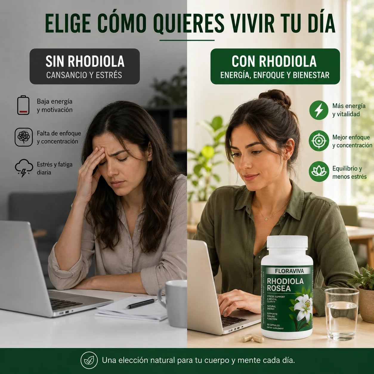 FloraViva Rhodiola 60 Cápsulas – Energía, Enfoque y Bienestar Diario